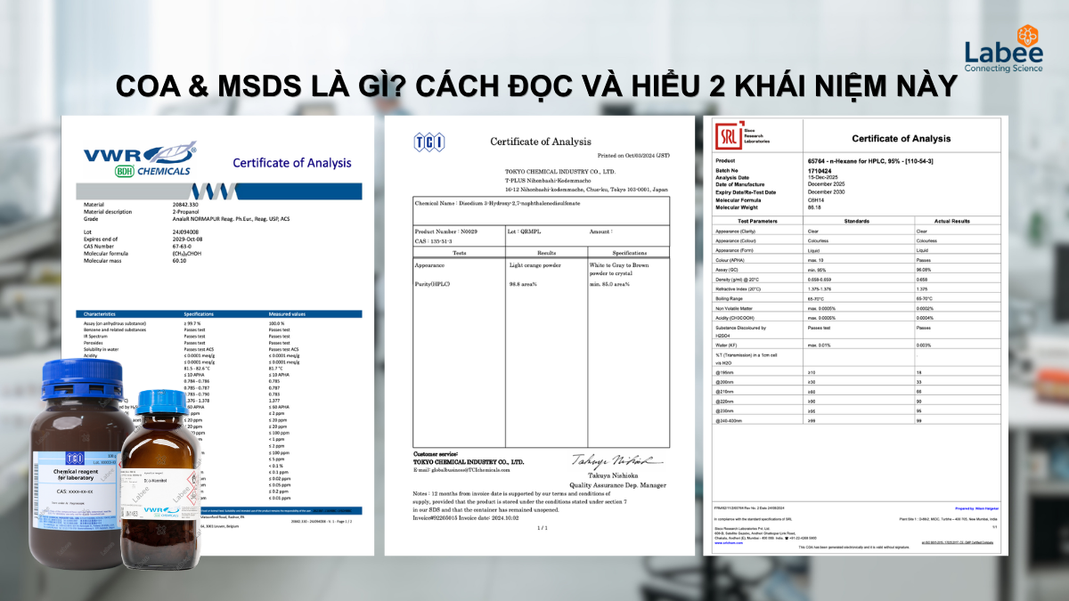 Khái Niệm COA Và MSDS là gì? Hướng Dẫn Đọc COA Và MSDS Chuẩn và cách ...