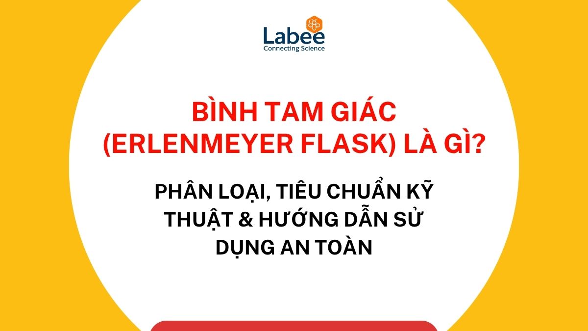 Bình tam giác (Erlenmeyer Flask) là gì? Phân loại, tiêu chuẩn kỹ thuật & Hướng dẫn sử dụng an toàn