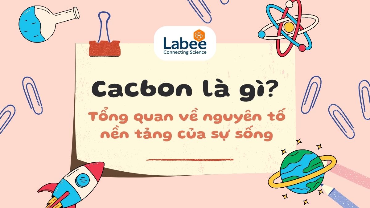 Cacbon (Carbon) là gì? Tổng quan về nguyên tố nền tảng của sự sống