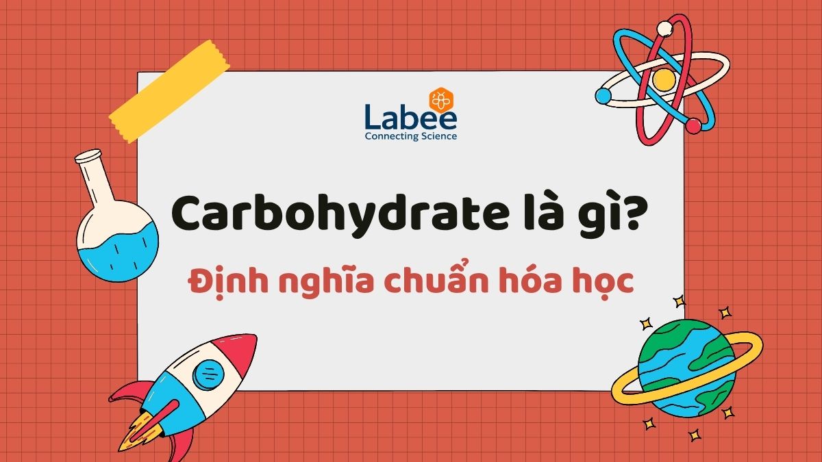 Carbohydrate là gì? Định nghĩa chuẩn hóa học