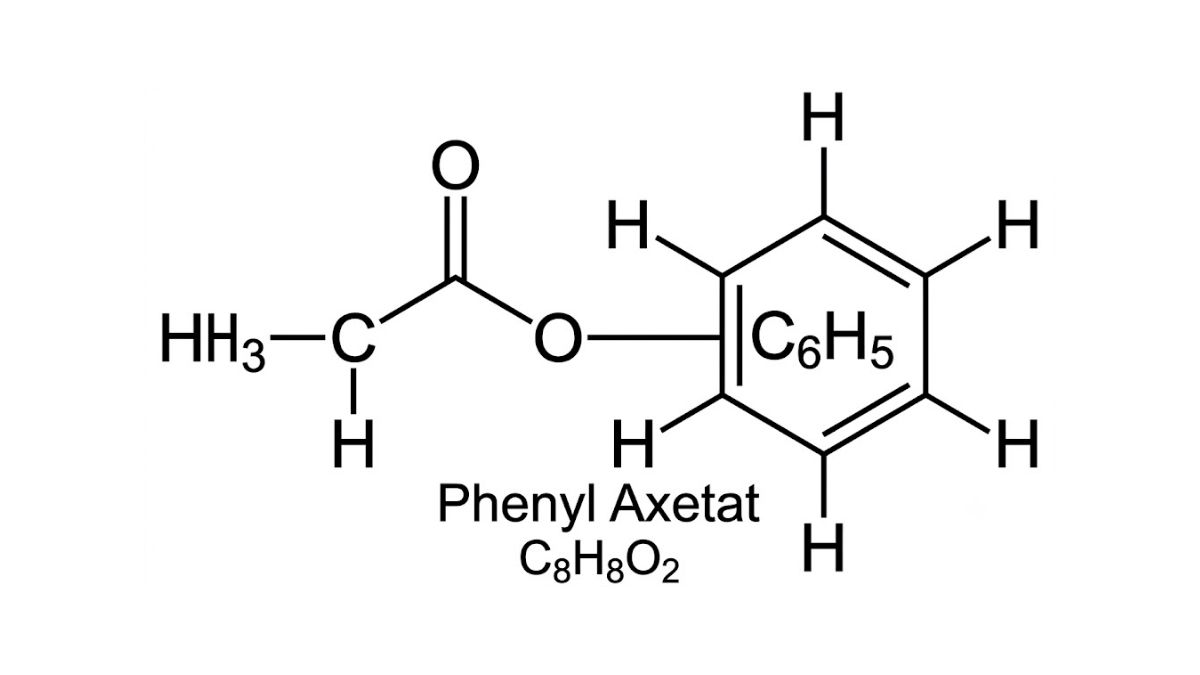 Phenyl Axetat là gì? Tổng quan về tính chất và ứng dụng trong công nghiệp