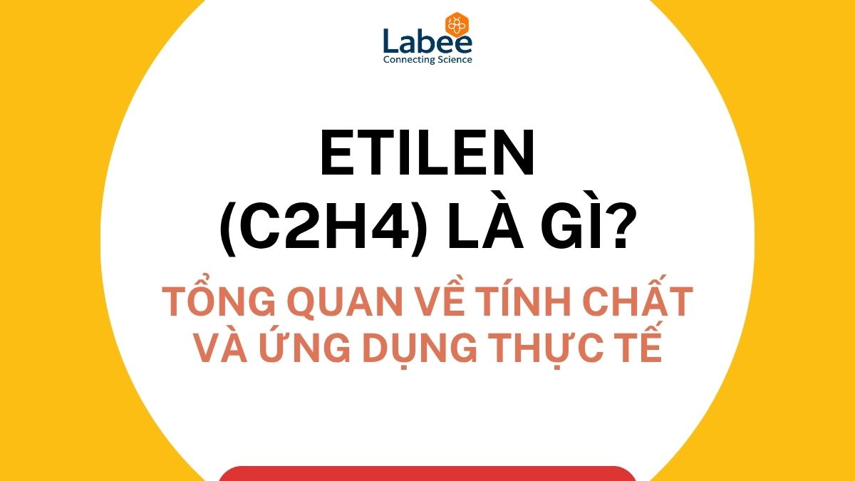 Etilen (C2H4) là gì? Tổng quan về tính chất và ứng dụng thực tế