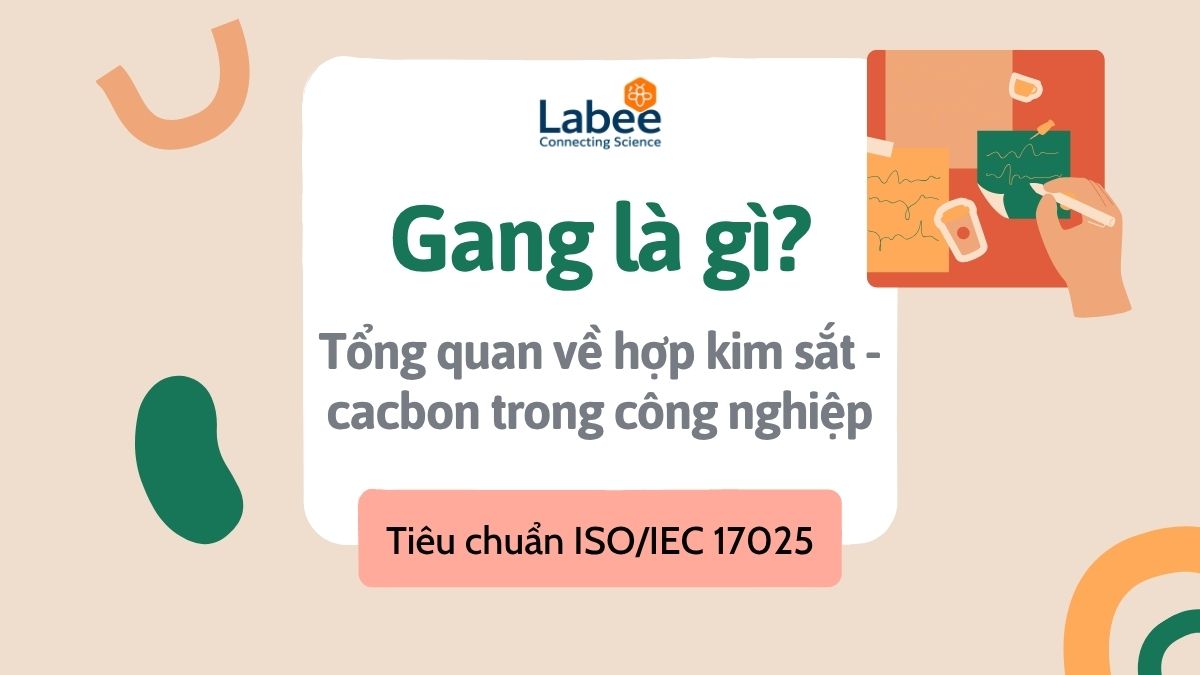 Gang là gì? Tổng quan về hợp kim sắt - cacbon trong công nghiệp