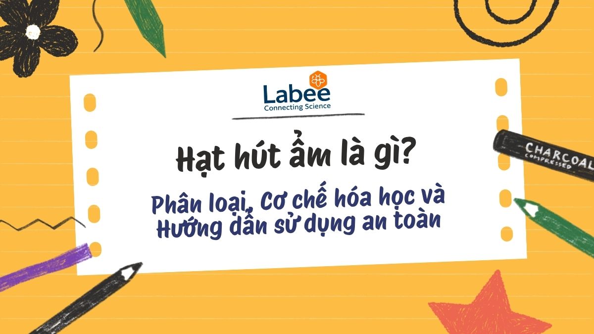 Hạt hút ẩm là gì? Phân loại, Cơ chế hóa học và Hướng dẫn sử dụng an toàn