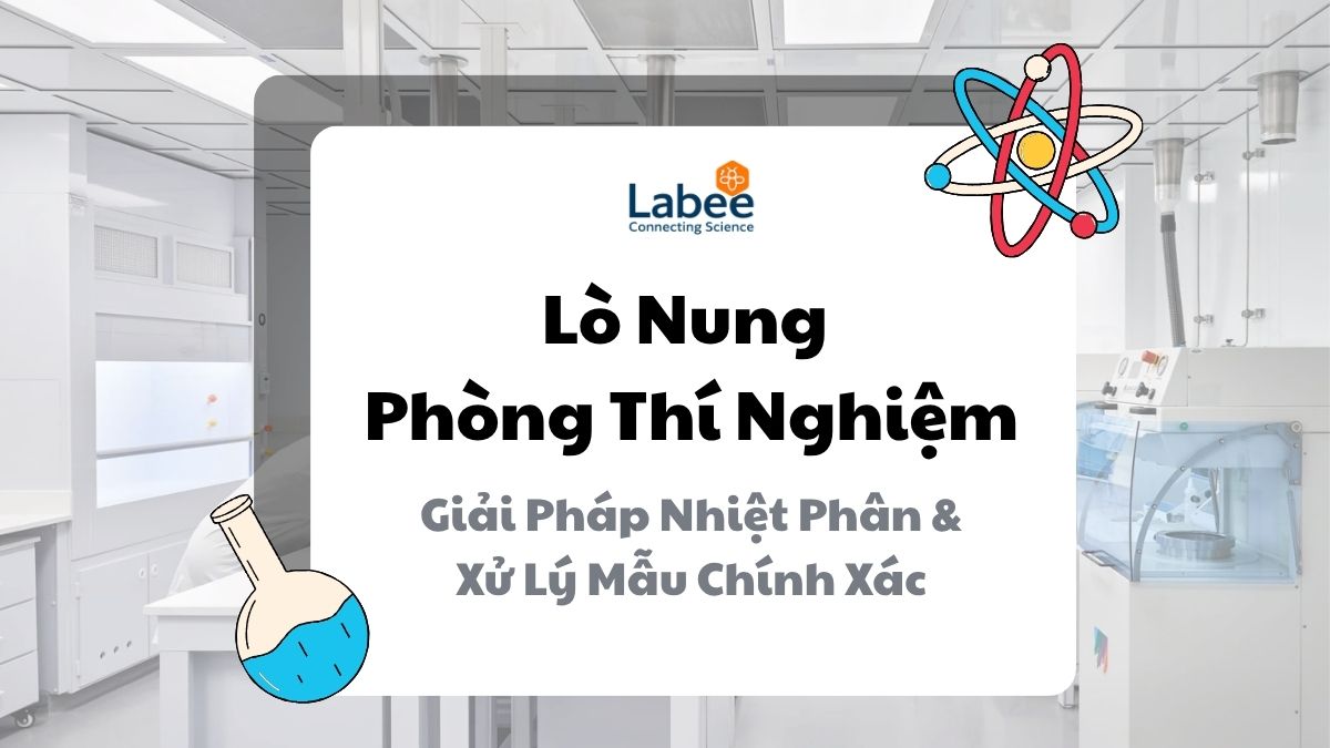 Lò Nung Phòng Thí Nghiệm: Giải Pháp Nhiệt Phân & Xử Lý Mẫu Chính Xác