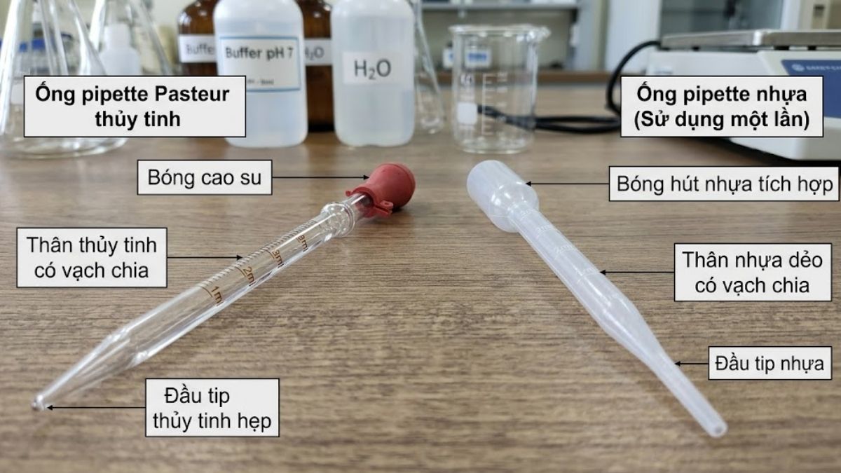 Mô tả cấu tạo chi tiết của pipette Pasteur thủy tinh và nhựa đặt cạnh nhau để thấy rõ sự khác biệt cấu trúc