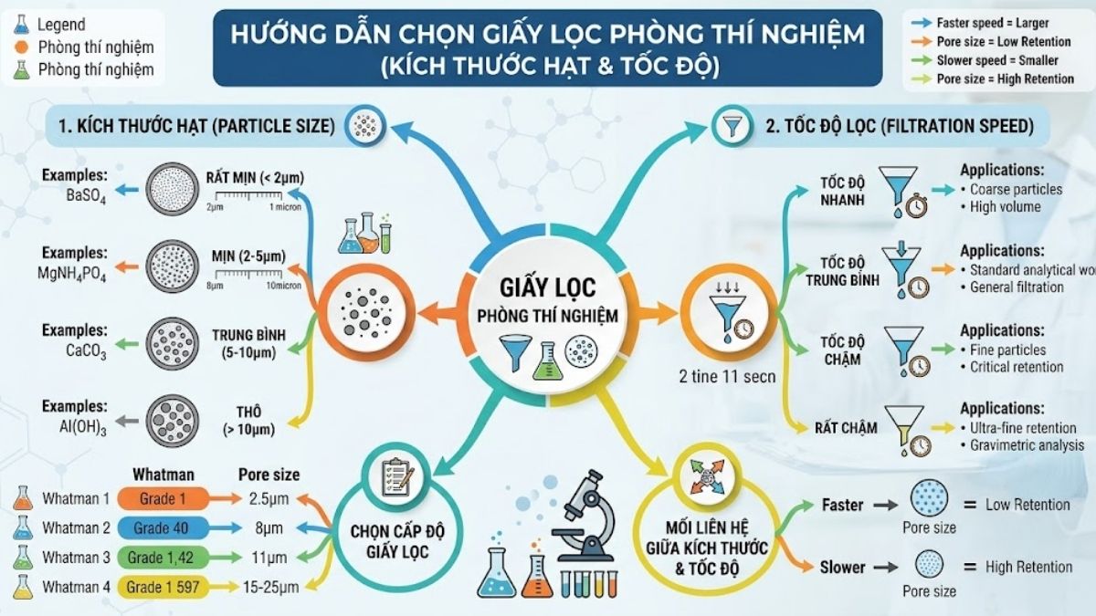 Sơ đồ tư duy hướng dẫn chọn giấy lọc phòng thí nghiệm theo kích thước hạt và tốc độ