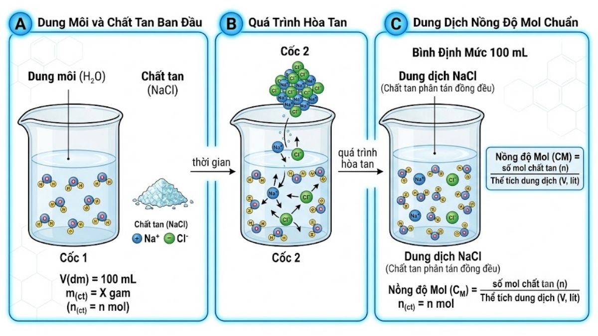 Sơ đồ minh họa phân tử chất tan phân tán trong dung môi tạo thành dung dịch nồng độ mol chuẩn