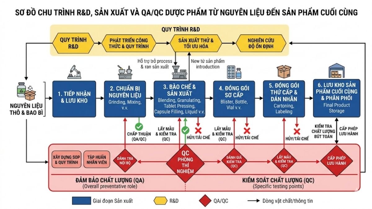 Sơ đồ chu trình R&D và QA/QC từ nguyên liệu thô đến sản phẩm cuối cùng trong nhà máy dược
