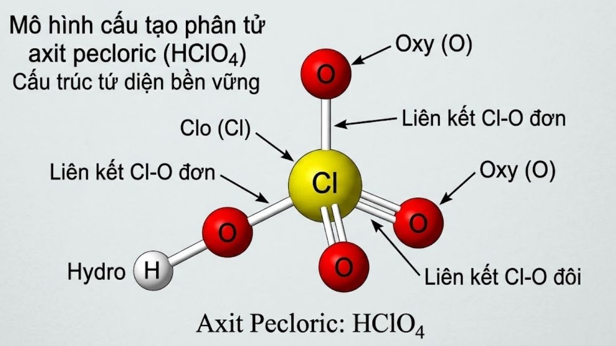 Mô hình không gian cấu tạo phân tử tứ diện bền vững của axit pecloric