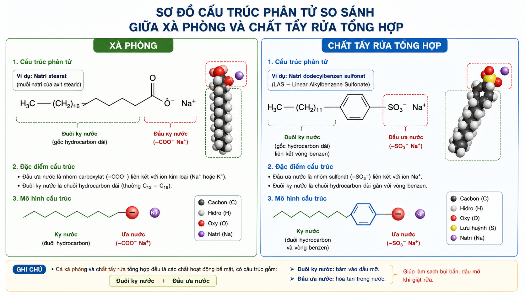 Sơ đồ cấu trúc phân tử so sánh giữa Xà phòng và Chất tẩy rửa tổng hợp