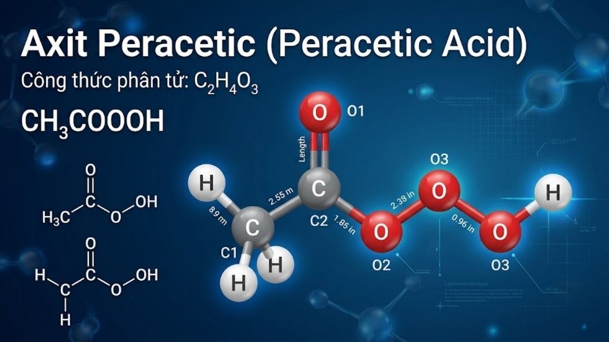 Đồ họa mô phỏng cấu trúc phân tử của Peracetic Acid gồm các nguyên tử C, H, O