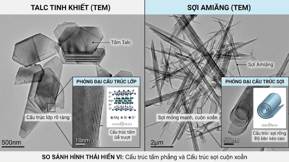 So sánh cấu trúc hiển vi của Talc tinh khiết và sợi Amiăng dưới kính TEM