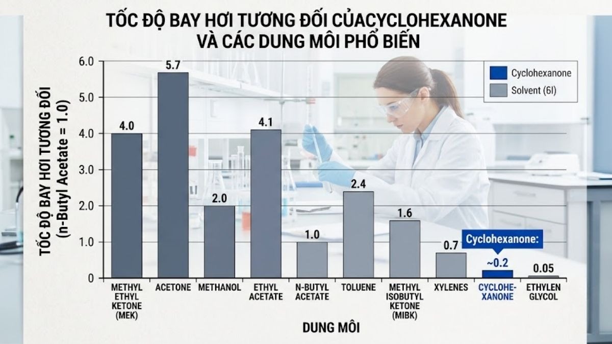 Đồ thị thể hiện tốc độ bay hơi của Cyclohexanone so với các dung môi khác