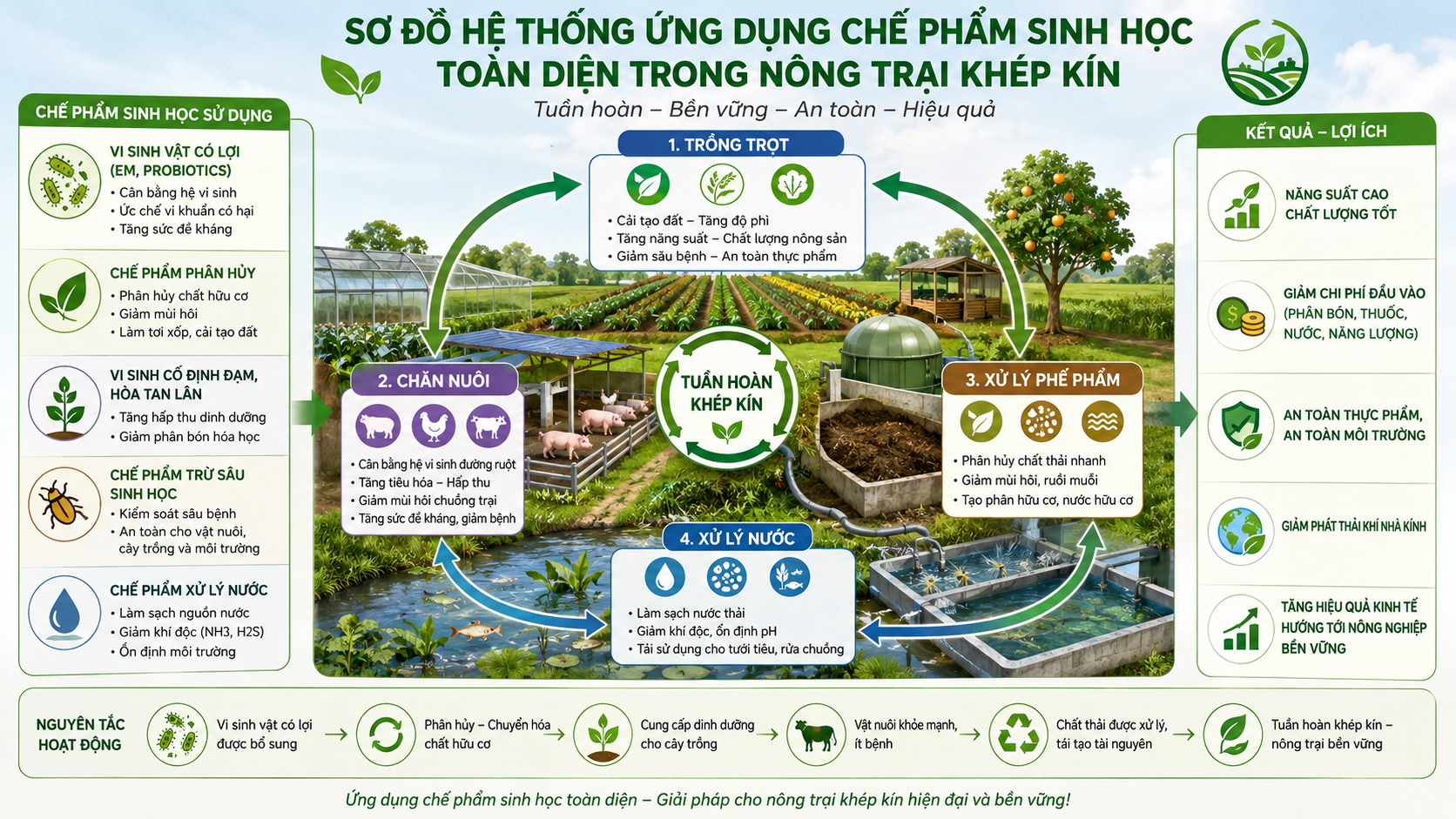 Sơ đồ hệ thống ứng dụng chế phẩm sinh học toàn diện trong nông trại khép kín