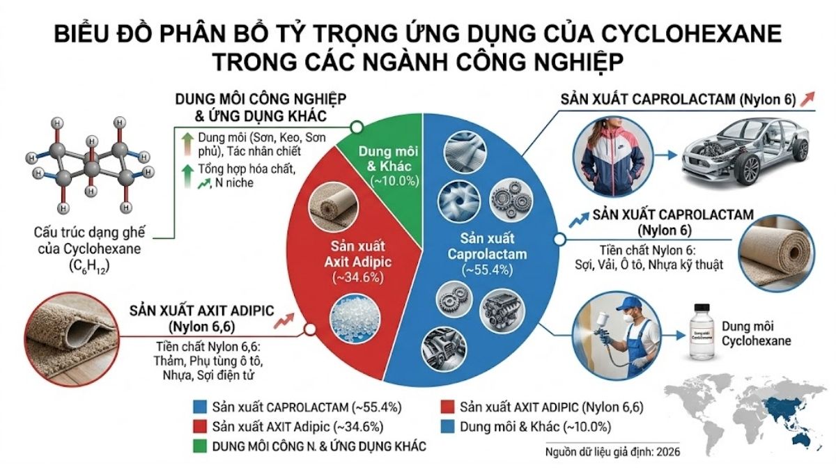 Biểu đồ tròn phân bổ tỷ trọng ứng dụng của Cyclohexane trong các ngành công nghiệp