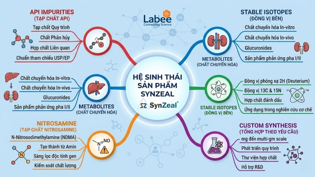 Sơ đồ tư duy (Mindmap) minh họa hệ sinh thái các dòng sản phẩm của SynZeal bao gồm API Impurities, Metabolites, Stable Isotopes, Nitrosamine và Custom Synthesis