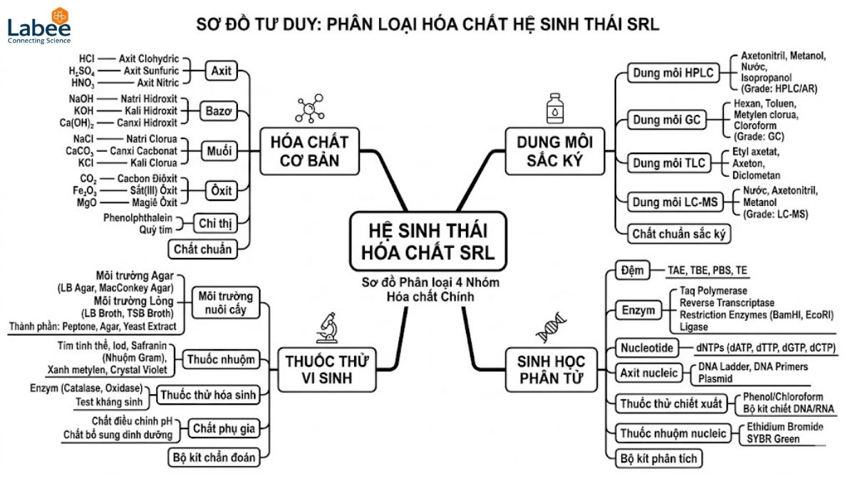 Sơ đồ tư duy (mindmap) phân loại 4 nhóm hóa chất chính của hệ sinh thái SRL gồm hóa chất cơ bản, dung môi sắc ký, thuốc thử vi sinh và sinh học phân tử