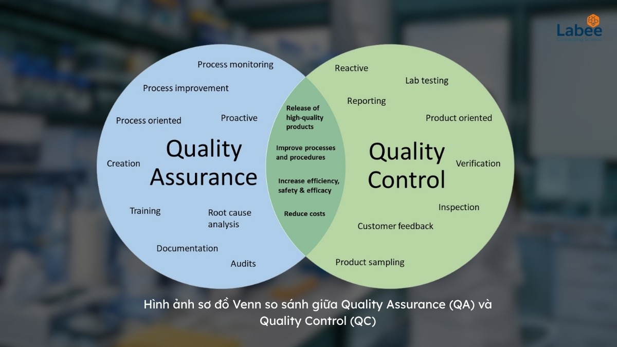 QA và QC