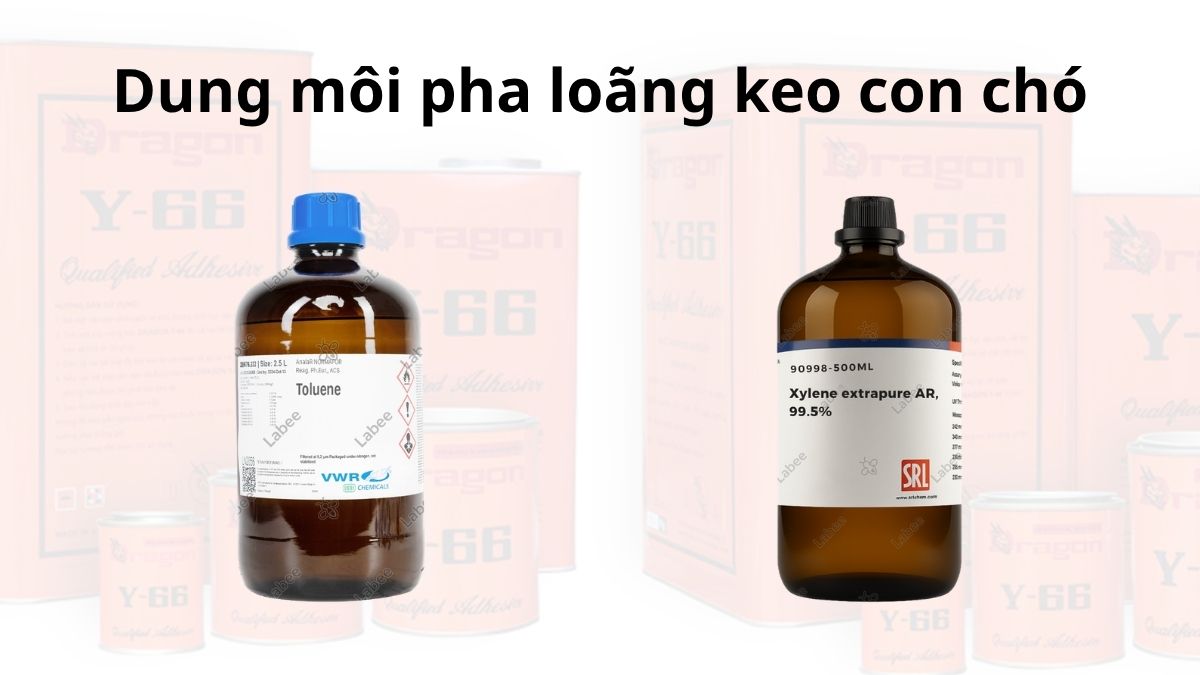 Các chai dung môi Toluen, Xylene cấp độ phân tích (AR/HPLC) từ các hãng lớn