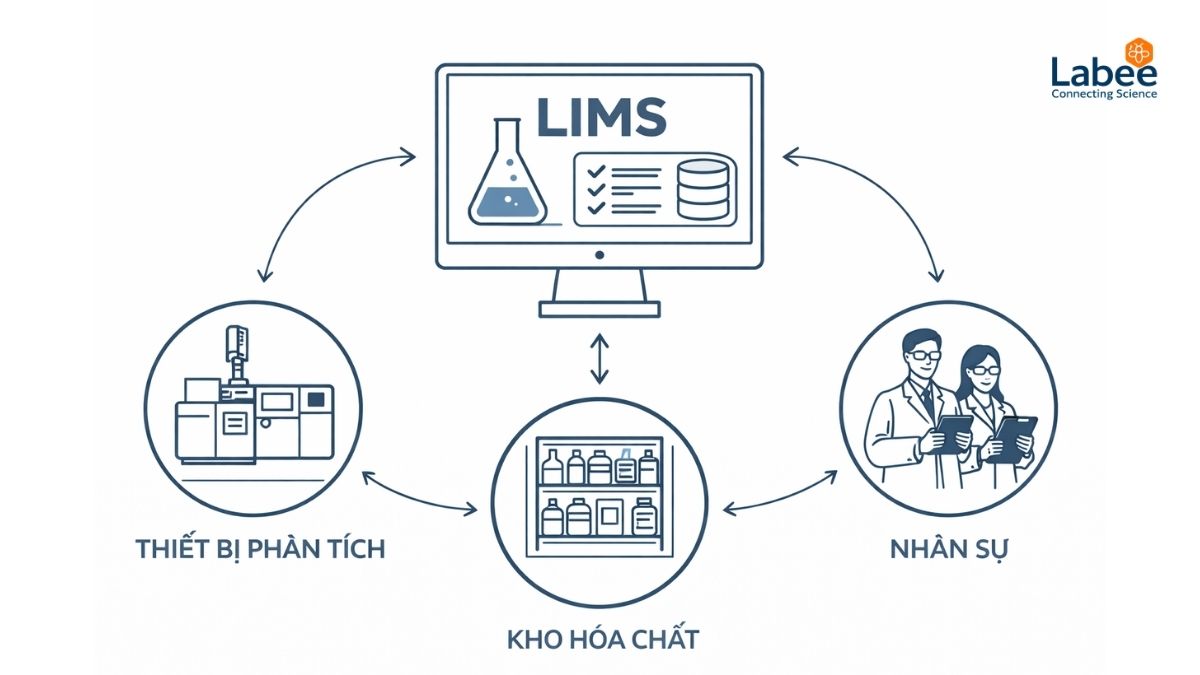Đồ họa mô phỏng hệ thống LIMS đóng vai trò trung tâm kết nối thiết bị phân tích, kho hóa chất và nhân sự trong phòng Lab